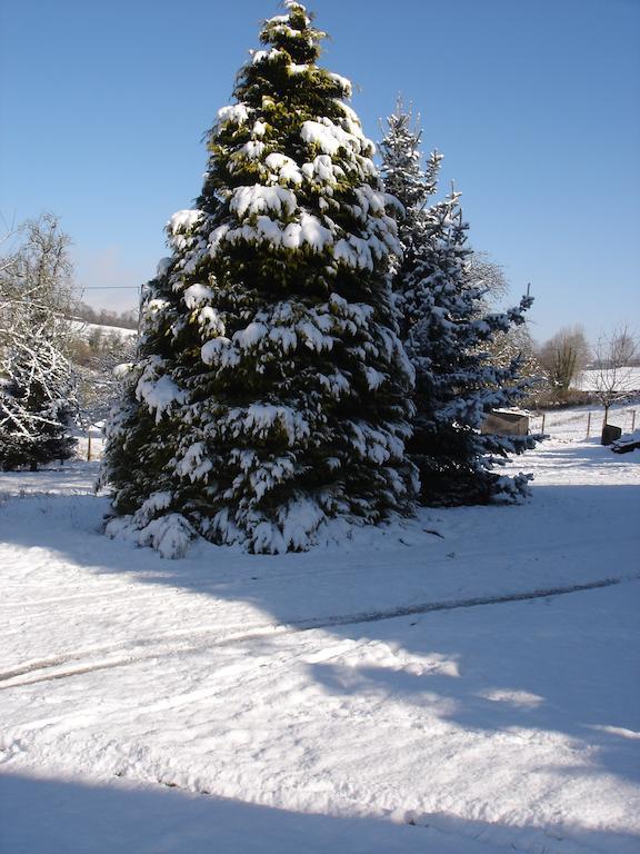 Le Val Godard Fresnay-le-Samson Exteriér fotografie